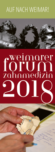 Zur Galerie WFZ 2018 >